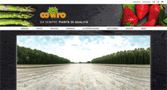 Desktop Screenshot of coviro.it