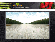 Tablet Screenshot of coviro.it